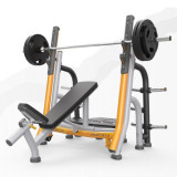 MATRIX Magnum MG-A679 Олимпийская скамья с доводчиком