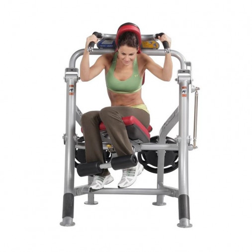 Пресс нагружаемый дисками HOIST ROC-IT RPL-5601 ABDOMINALS (цвет рамы: серебряный, обивка: черная) Пресс нагружаемый дисками HOIST ROC-IT RPL-5601 ABDOMINALS (цвет рамы: серебряный, обивка: черная)